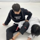 서촌주짓수 네이버블로그