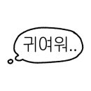 리리헤어 - 서구 | 리리헤어