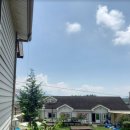 땅끝 남도의 향기 이미지