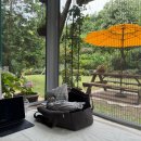 마리네 동물병원 | 강아지랑 일주일 제주도 여행! 에어비앤비 ‘마리네집’ 가성비독채마당 강아지동반 감성숙소