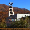 강경원 농장 | 강원도 정선 여행 특산물 정선의맛 곤드레 정선곤드레음식관광활성화사업단 여행블로거기자단 팸투어