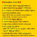 개빵뜯어먹는소리 이미지