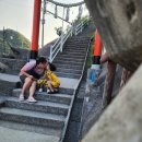 관문약국 | 혼자서 두 아이와 떠난 대마도 여행, 현실 가능한가요? (1박 2일 리얼 후기)