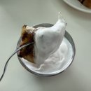 여기 진짜 카페 맞아? 식물원 같았던 동탄 피오레 후기