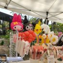 조산천 | 카네이션 구매후기.일상