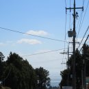 서호동-8 이미지