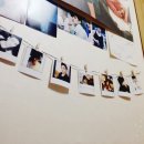 스마일 캣 이미지