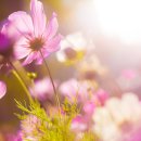 달리자병원 이미지