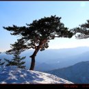 강산