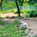 푼타하우스 이미지