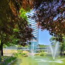 수원-0618 이미지