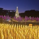 간절곶 공원 이미지