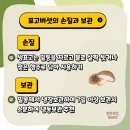 원주가표고버섯