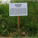 화개산성 이미지