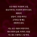 대 한 민 국 65세이상 혜택 이미지