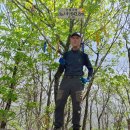 오대산 일대봉 국사봉(극기봉) 가람산 일출봉 충남금산[24.04.17] 이미지