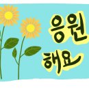 포도송이펜션 이미지