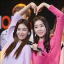 스텔라 이미지