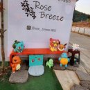 로즈브리즈 이미지