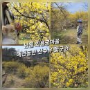 만연 2리 마을회관 | [광주 근교 여행] 전북 남원 외용궁마을 산수유 꽃구경 명소, 애견동반 주말 산책 나들이 추천
