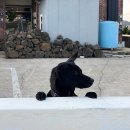 노마드 | 제주 워케이션 한달살이하며 배운 것들, 오피스제주 노마드스텝 후기