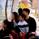 홍천동키마을 이미지