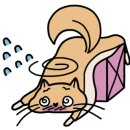 신세계동물병원 이미지