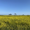 호미곶경관영농조합법인 이미지
