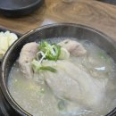 봄의기운 | 안양삼계탕맛집 | N번째 방문한 호계동 현지인찐맛집 저속노화 보양식 옥계삼계탕