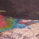 꿈예뜰어린이집 이미지