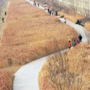 청계천 4호 화장실 이미지