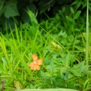 주만농장 이미지