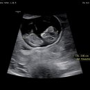 미즈피아병원 이미지