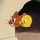 화이트팜(주) | [ωѕ.9] 스냅장인, 포에브아워러브 포아럽 (보정본 수령후기) : 셀프결혼준비한다면 필독!