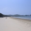 용두해수욕장 숲속야영장 이미지