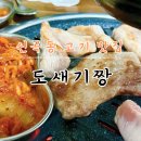 도새기 짱