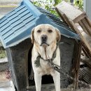 반송보건진료소 이미지