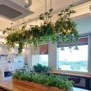 디플랜트 | 🔹비즈플랜트 공유오피스 기흥점 2인실, 여름 한정 특가 혜택!🔹