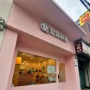 반듯하개 이미지