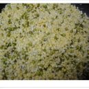 녹두빈대떡 이미지