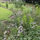 정원하우스 | 경기도 안산 아기랑 가볼만한 곳 유니스의정원 보타닉하우스 내돈내산 후기