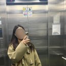 캔버스 | 셀린느 보스턴백 스몰 / 트리옹프 캔버스 구매 후기 / 실사용 및 착샷⭕️