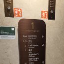 호텔 유리앤 | 직장인 타겟의 삼성동 유리앤 호텔 런치 뷔페 후기