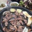 천년황칠원 이미지