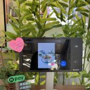 성내전통시장 | [천호] 블루라오반미 성내점, 강동 성내동 성내전통시장 성내시장 쌀국수 반미 맛집