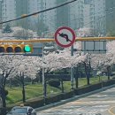 마임 동부지사