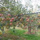 부원농장 이미지