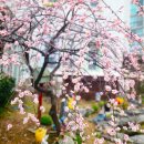 양정현대유치원 이미지