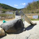 양평양떼목장 이미지