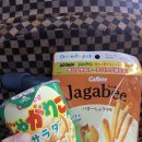 이마트24R 태백석수점 | 홋카이도 삿포로 여름여행_일본 편의점 투어 #로손 #세븐일레븐 #세이코마트 #추천템 #비추템 #일본먹거리